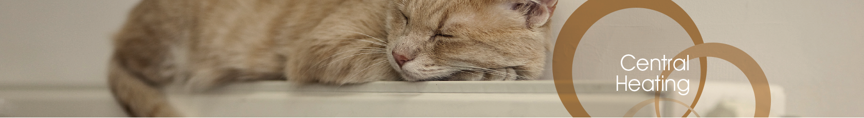 Central Heating Oswestry